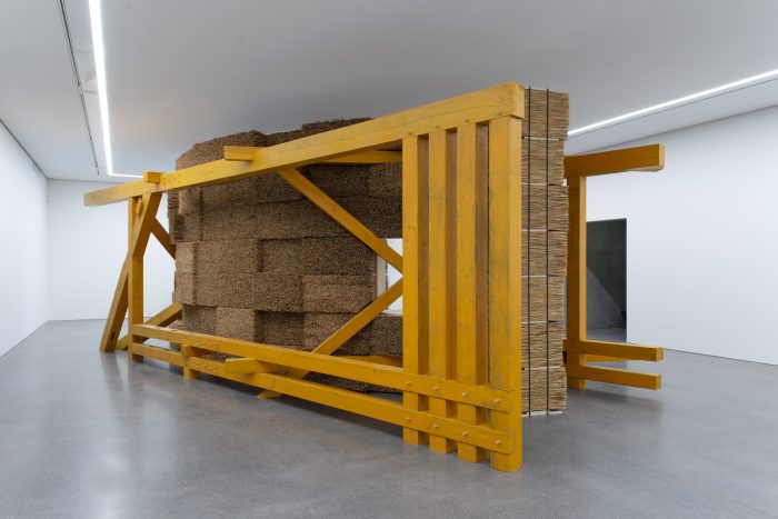 Pflanzenwerk / 2021