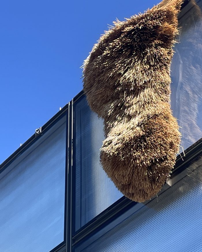 Olaf Holzapfel: Der Schwarm, Installation aus Stroh, 2026