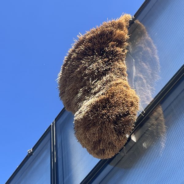 Olaf Holzapfel: Schwarm, Stroh-Installation, 2026