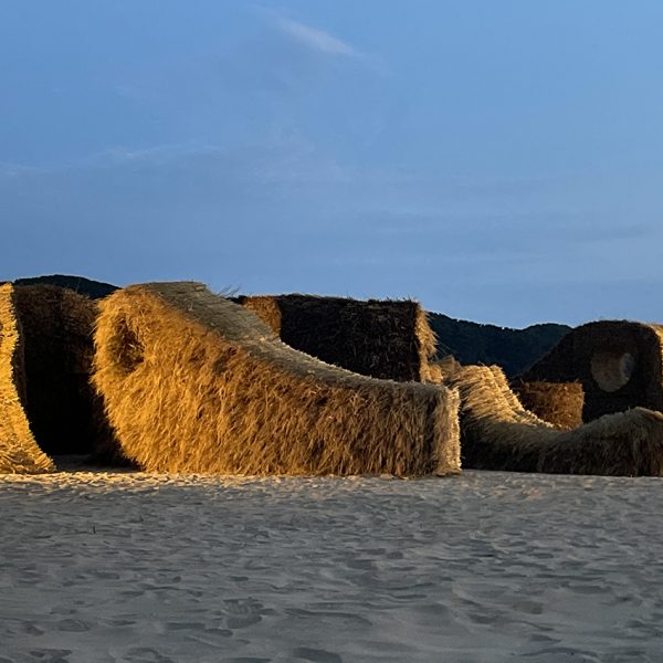 Olaf Holzapfel: In the middle of the dunes, the path is blurred, but there is a beautiful view of what we can be, Sea Art Festival 2025, Busan, Korea