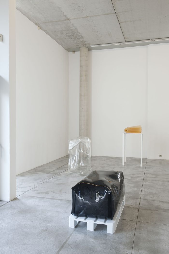 Exhibition view Olaf Holzapfel: "interritorial und territorialis", Albert Baronian, Brüssel, 2013